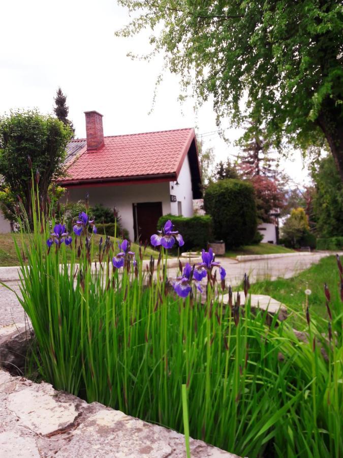 Centrum Wypoczynku Odys Tresna Extérieur photo